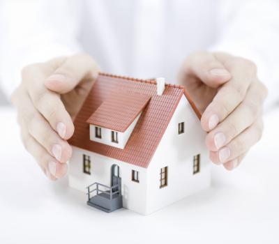 Área de Gestión y Conservación